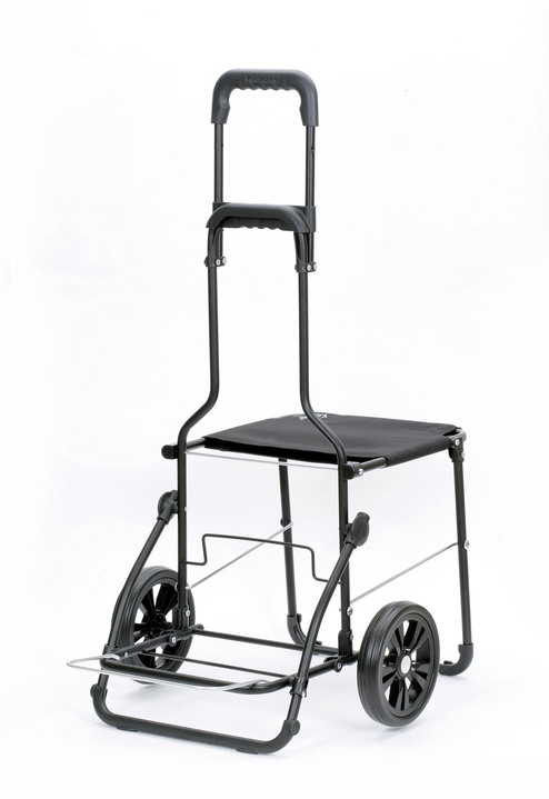 Einkaufstrolleys - Andersen Einkaufsroller mit Sitzmöglichkeit, in Farbe GRAU Ansicht 2