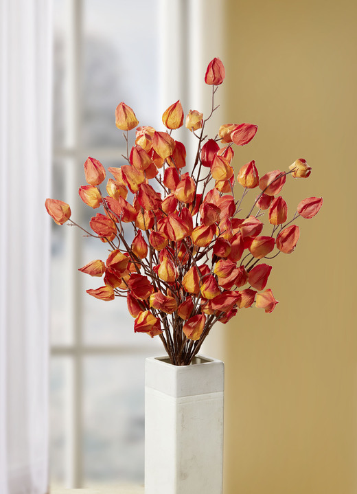 - Physalis-Zweig, in Farbe ORANGE