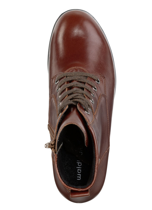 Stiefel & Stiefeletten - Waldläufer, atmungsaktive Damen-Stiefeletten, Weite H, mit herausnehmbarem Fußbett, in Größe 3 1/2 bis 8, in Farbe SCHWARZ Ansicht 5