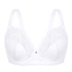 Bügel-BH - Sassa Bügel-BH mit elastischer Spitze, in Größe 075 bis 100, in Cup C, in Farbe WEISS – Farbe WEISS – Ansicht 3