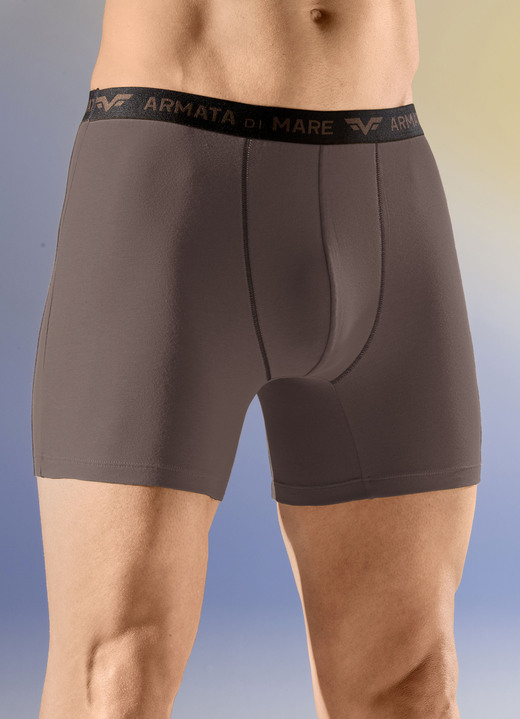 Unterwäsche - Viererpack Pants mit Elastikbund, in Größe 004 bis 011, in Farbe 2X OCKER, 2X BRAUN Ansicht 2