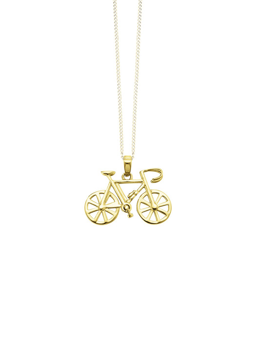 Anhänger - Fahrrad-Anhänger aus Gold , in Farbe  Ansicht 2