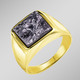 Ringe - Vergoldeter Herrenring mit Silicium, in Größe 180 bis 240, in Farbe  – Ansicht 1