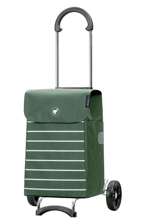 Einkaufstrolleys - Stabiler Einkaufsroller, in Farbe GRÜN