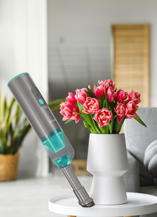 "Genius" 2-in-1 Akku Handstaubsauger und Luftpumpe