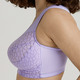 BHs - Miss Mary BH mit strukturierten Cups, in Größe 080 bis 110, in Cup B, in Farbe FLIEDER – Farbe FLIEDER – Ansicht 2
