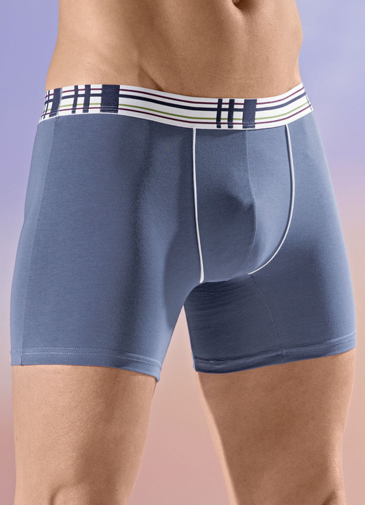 Unterwäsche - Viererpack Pants mit Elastikbund, in Größe 005 bis 011, in Farbe 2X INDIGOBLAU, 2X BORDEAUX Ansicht 1