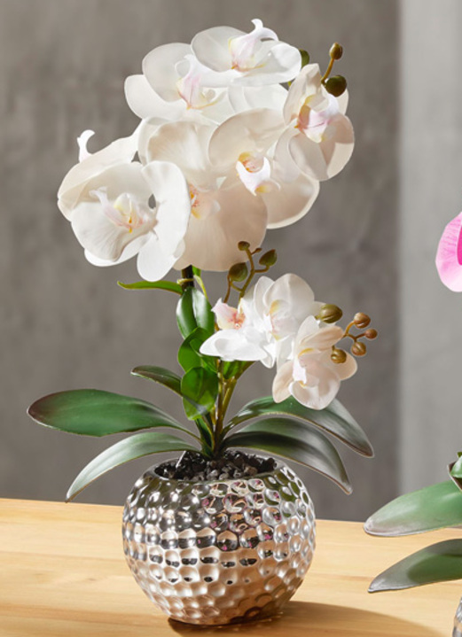Kunst- & Textilpflanzen - Orchidee Phalaenopsis in Keramikschale, in Farbe CREME Ansicht 1