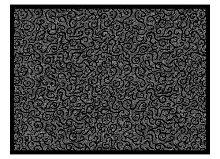 Fußmatten - Praktische Schmutzfangmatten für innen und außen, in Größe 116 (90x120 cm) bis 117 (90x150 cm), in Farbe GRAU Ansicht 1