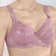 Bügel-BH - LingaDore Bügel-BH mit elastischer Spitze – Farbe ALTROSA – Ansicht 5 Bügel-BH - LingaDore Bügel-BH mit elastischer Spitze, in Größe 075 bis 105, in Cup B, in Farbe INDIGOBLAU – Farbe ALTROSA – Ansicht 5