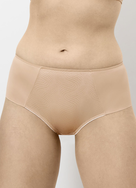 Slips - Triumph Slip mit Jacquardeinsatz im Vorderteil, in Größe 036 bis 048, in Farbe HELLGRAU Ansicht 12