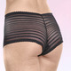 Slips - Zweierpack Pants aus Elastiktüll – Farbe SCHWARZ – Ansicht 1 Slips - Zweierpack Pants aus Elastiktüll, in Größe 036 bis 050, in Farbe SCHWARZ – Farbe SCHWARZ – Ansicht 1