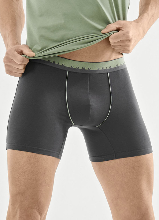 Unterwäsche - Dreierpack Pants mit Elastikbund, in Größe 005 bis 011, in Farbe 3X GRAFIT-SALBEI Ansicht 1