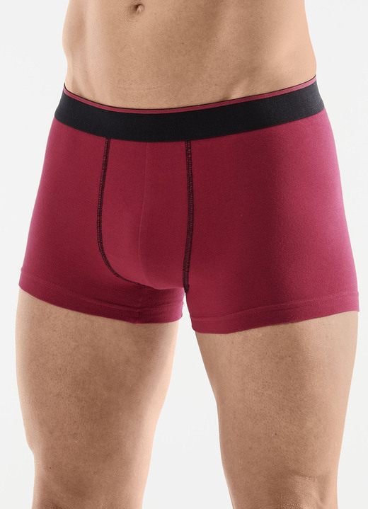 Unterwäsche - Viererpack Pants mit Elastikbund, in Größe L bis XXL, in Farbe 1X WEINROT, 1X SMARAGD, 1X SCHWARZ, 1X SCHIEFER Ansicht 1