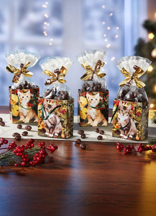 Präsenttüte Herbst-Kätzchen aus Papier, 4er-Set