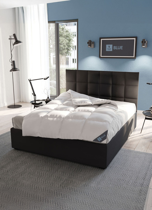 Bettwaren - In Deutschland hergestelltes Daunenprogramm aus dem Hause Spessarttraum Ansicht 11 Bettwaren - In Deutschland hergestelltes Daunenprogramm aus dem Hause Spessarttraum, in Größe 103 (135/200 cm) bis 121 (40/ 80 cm), in Farbe , in Ausführung Blue Kissen Ansicht 11