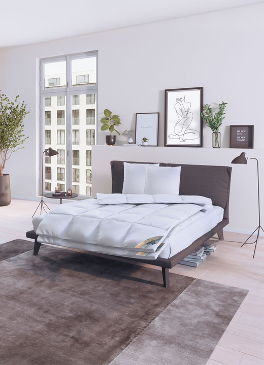 Bettwaren - Herrlich warme Daunendecken-Serie Winterträume von Spessarttraum, in Größe 103 (Bett 135/200 cm) bis 403 (mit gratis Schneeeule, 2x 135/200 cm + 2x 80/80 cm), in Farbe WEISS, in Ausführung WINTERTRAUM – MEDIUM Ansicht 6