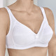 Soft-BH - Naturana Zweierpack BH mit Baumwolle, in Größe 080 bis 105, in Cup B, in Farbe WEISS – Farbe WEISS – Ansicht 1
