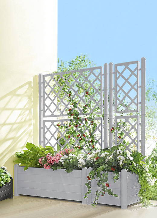 Blumentöpfe und Pflanzgefäße - Pflanzkasten mit Spalierwand, in Farbe STEINGRAU, in Ausführung Pflanzkasten klein Ansicht 1