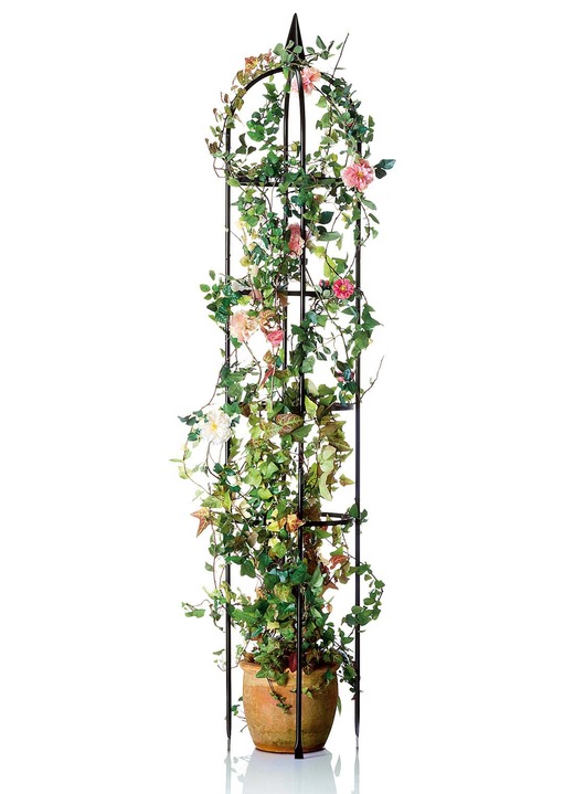 rankgitter aus schwarz lackiertem metall gartenpflege brigitte hachenburg
