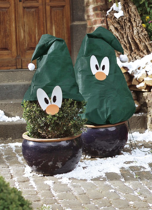 Pflanzenhaube Verschiedene Ausfuhrungen Winterlicher Garten
