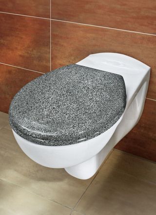 WC-Sitz mit Absenk-Automatik
