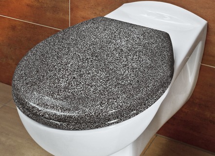 WC-Sitz mit Absenk-Automatik