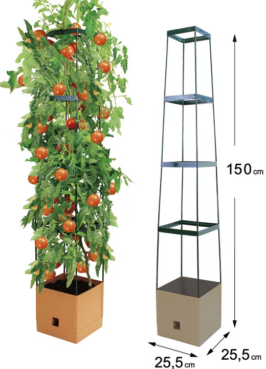 Blumentöpfe und Pflanzgefäße - MAXITOM Tomaten-Rankhilfe Komplett-Set , in Farbe TERRA Ansicht 1