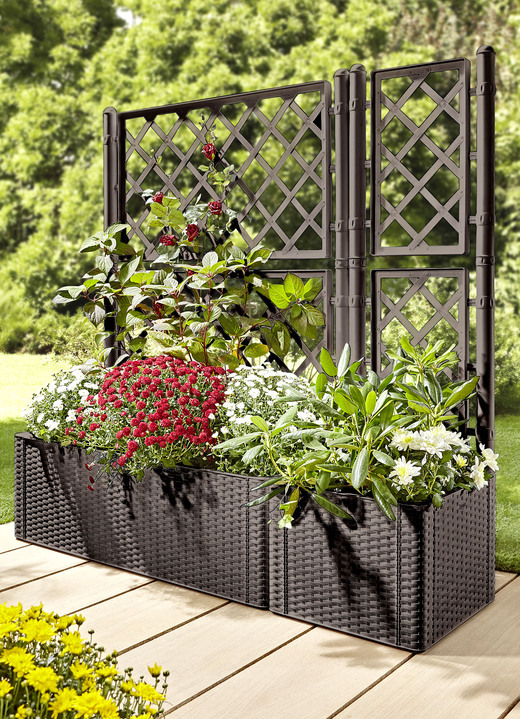 Blumentöpfe und Pflanzgefäße - Pflanzkasten in moderner Rattan-Optik Ansicht 5 Blumentöpfe und Pflanzgefäße - Pflanzkasten in moderner Rattan-Optik, in Farbe WEISS, in Ausführung Pflanzkasten, groß, mit Spalierwand Ansicht 5