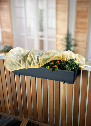 Winterlicher Garten - Blumenkastenhauben, 2er-Set, in Farbe GELB – Farbe GELB – Ansicht 