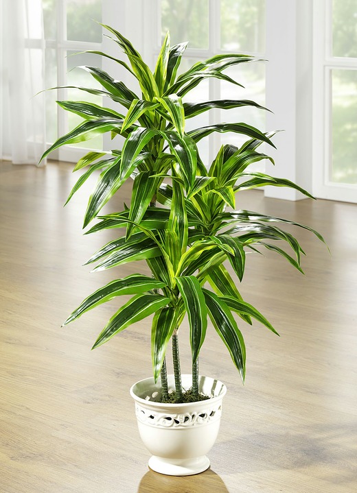 Kunst- & Textilpflanzen - Dracena-Palme im Topf, in Farbe GRÜN, in Ausführung klein