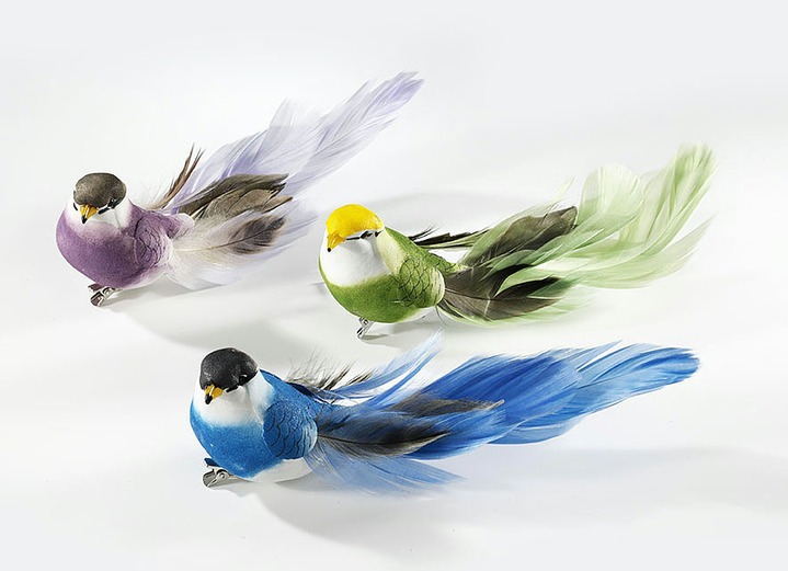 Dekorationen - Vögel, 3er-Set, in Farbe  Ansicht 1