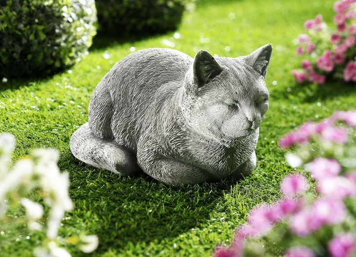 Schlafende Katze