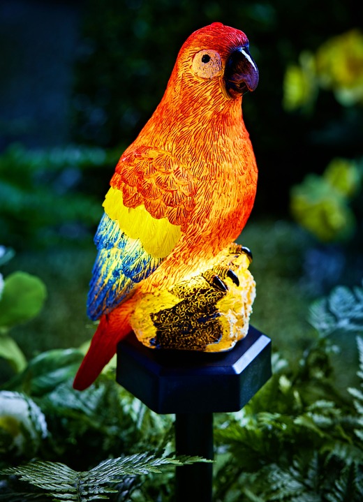 Leuchtende Dekoration - Solar-Papagei mit Erdspieß, in Farbe BUNT