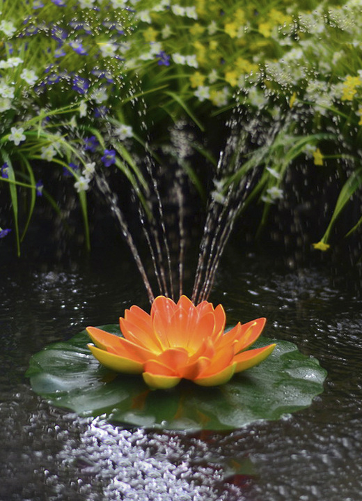 - Solar-Seerose in verschiedenen Farben, in Farbe ORANGE Ansicht 1