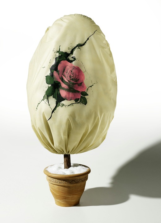 Vlieshaube Rose Winterlicher Garten Brigitte Hachenburg