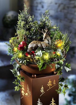 Weihnachtsdeko Aussen Und Fur Den Garten Kaufen Brigitte Hachenburg