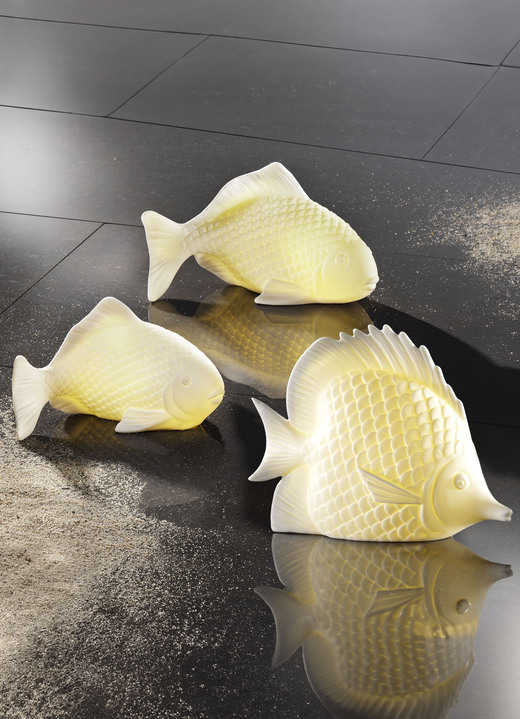 Wohnaccessoires - LED Meerestiere, in Farbe WEISS, in Ausführung LED-Leuchte Fisch, klein Ansicht 2