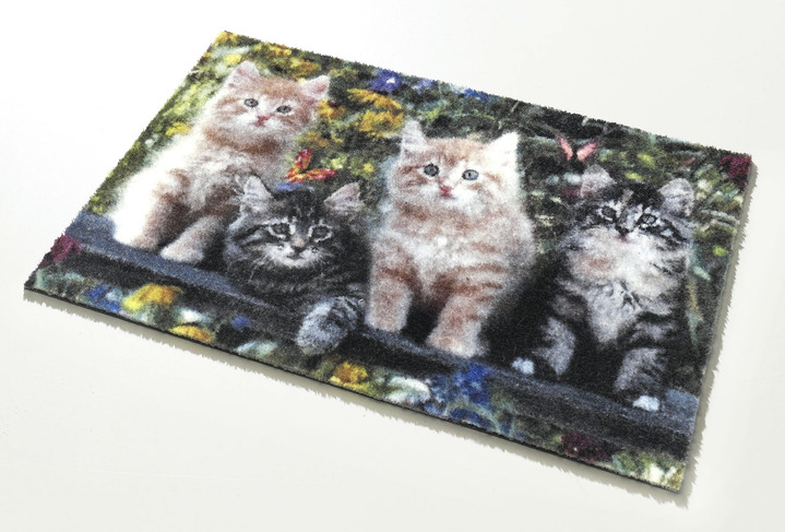 Fußmatten - Fußmatte Katzenfreunde, in Farbe BUNT Ansicht 2