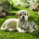 Gartendekoration - Hund und Katze aus Polyresin, in Farbe BEIGE-GRAU-WEISS