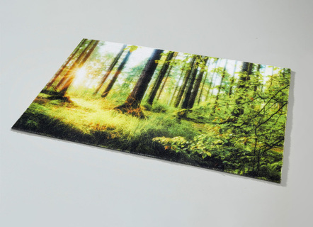 - Fußmatte mit rutschhemmender Rückseite, in Farbe BUNT