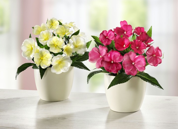 - Fleißiges Lieschen, 2er-Set, in Farbe ROSA-CREME