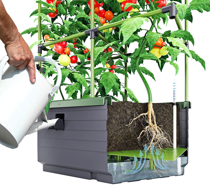 Blumentöpfe und Pflanzgefäße - Rankkasten City Jungle, in Farbe ANTHRAZIT-GRÜN Ansicht 2