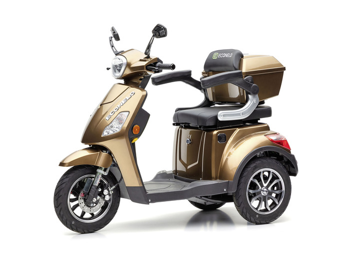 Mobilität - Elektro-Trike ECONELOJ1000, in Farbe BRAUN Ansicht 1