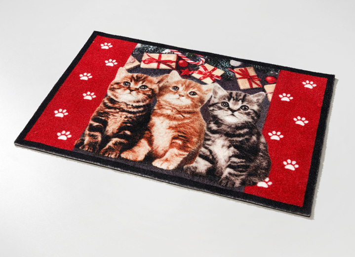 Fußmatten - Fußmatte mit beschichteter Rückseite, in Farbe ROT-BUNT Ansicht 2