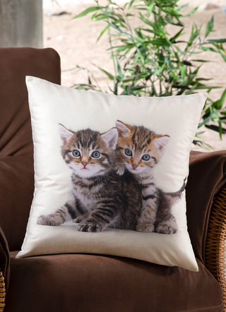 - Kissenbezug mit Kätzchen in Samtoptik, in Farbe BUNT
