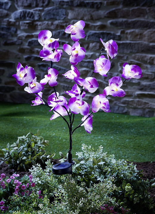 Leuchtende Dekoration - Täuschend echte Solar-Orchidee, in Farbe LILA-WEIß