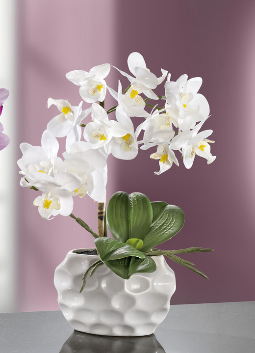 Inspirationen - Orchideen-Gesteck in Keramikvase, in Farbe WEISS Ansicht 1