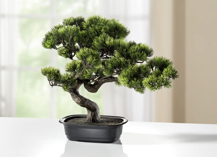Kunst- & Textilpflanzen - Kiefer-Bonsai, in Farbe GRÜN