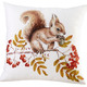 Kissenbezüge - Kissenbezüge mit Eichhörnchen-Motiven, in Farbe BUNT, in Ausführung Eichhörnchen mit Zapfen – Farbe BUNT – Ansicht 1